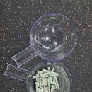 낙무아이 복싱짐 이미지