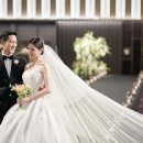 스테이 레브 이미지