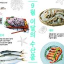 9월의 수산물에 '대 하·전어' 여행지는 '화성 전 곡 리 마을' 이미지