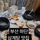 조영란동래삼계탕 | 하단역 맛집 조영란동래삼계탕 가족식사 후기