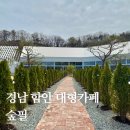 계내 | 경남 함안군 대형카페 베이커리 맛집 숲필 솔직후기