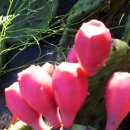 백년초한방병원 이미지