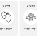 하모니카 주간 이미지