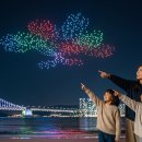 더스토리컴퍼니광안해수월드점 | 아이와 함께라면 더욱 특별해! 광안리 M 드론쇼 가족 관람 꿀팁 & 주변 체험 활동