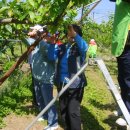 동문2리 이미지