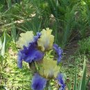 동상농장 이미지