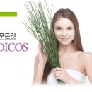 샤인 메디코스 네이버블로그