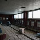 일동하와이 이미지