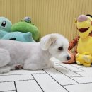 멈무는하루 이미지