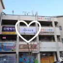미리내속눈썹