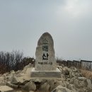 돼지랑돌이랑 | 뒤돌아보면 돌이 된다