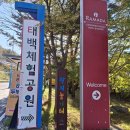 황지사우나 | 💡동네 한바퀴(태백소도동): 아침을 여는 소리 스케치