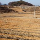 어상천면사무소 이미지