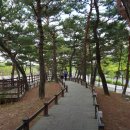 식장산 무장애 나눔길 조성 네이버블로그