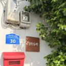 청학동백