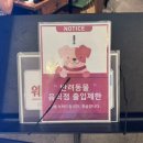 경기 고양 스타필드 닭갈비 맛집 비와별 내돈내산 후기