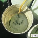 차세대카서비스 이미지