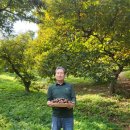 밤나무축산 이미지