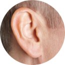 뉴톤보청기 이미지