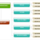 골든와이즈닥터스(주) 이미지