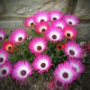 사랑합니다-희망 이미지