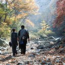 호돌이목장 이미지