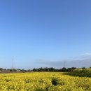 우진제과기계 | 아싸리방구 폭삭속았수다