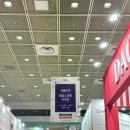 🍷 주류박람회 2025 코엑스 구매 리스트 추천 및 후기