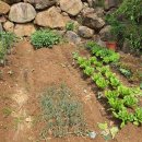 쉬리펜션 이미지