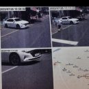 주정차43 이미지