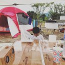 꽃주렁 나무주렁 캠핑장 이미지