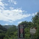 강변의 숲속 | 공기좋고 조용한 가평 캠핑장 강변의 숲속ㅣ캠핑메뉴추천