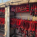 한강오리 이미지