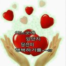 해피데이 이미지