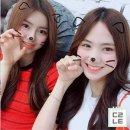 아이엠이코리아