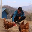 매안농장 이미지