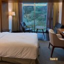 샤프전자제주서비스센터 | 제주 위호텔 겨울 재방문 슈페리어 트윈 숲전망 WE호텔 수영장과 야외 핀란드식 사우나