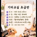 기타교실(초급반) 네이버블로그