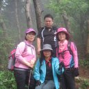 곡성-134 이미지