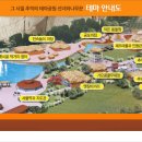 선녀와나무꾼 이미지