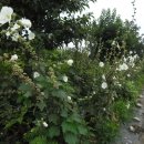 규화농장 이미지