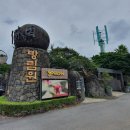 방림원 식물원 | 제주 식물원 [방림원] 관람후기