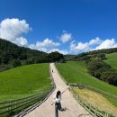 로사목장 | [강원도 여행] 강원도 가볼만한 곳_양떼목장 / Cafe. 테라로사_내돈내산 / 솔직후기