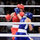 복싱아레나 이미지