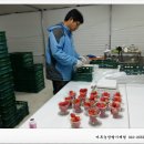 채은농장 이미지