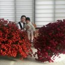 혁신도시 출장소 이미지