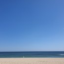 버거웍스 이미지