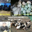 둥지농장 이미지