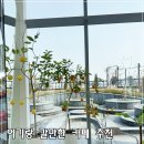지.이.엠 엔터테인먼트 | 엠오엘, 부산 강서구 대형카페 아기랑 갔다온 후기 (feat. 수유실, 기저귀갈이대)
