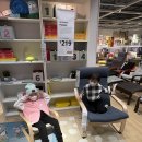 로아인터네셔널 이미지